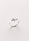 REEF RING